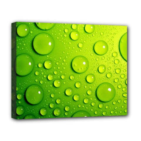 Green Water Drops Deluxe Canvas 20  x 16  (Stretched) from ArtsNow.com