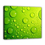 Green Water Drops Deluxe Canvas 24  x 20  (Stretched)