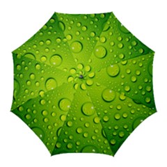 Golf Umbrella 