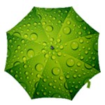 Green Water Drops Hook Handle Umbrella (Medium)