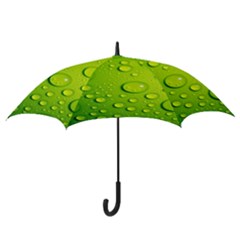 Hook Handle Umbrella (Small) 