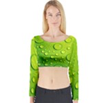 Green Water Drops Long Sleeve Crop Top