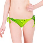 Green Water Drops Bikini Bottom