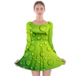 Green Water Drops Long Sleeve Skater Dress