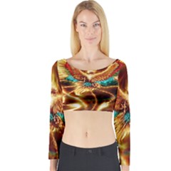 Long Sleeve Crop Top 