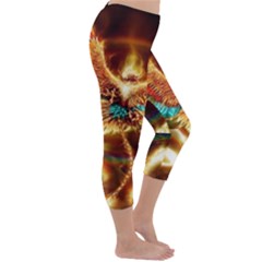 Capri Winter Leggings  