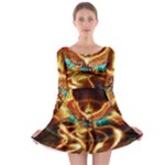 Fire Eagle Art Long Sleeve Skater Dress