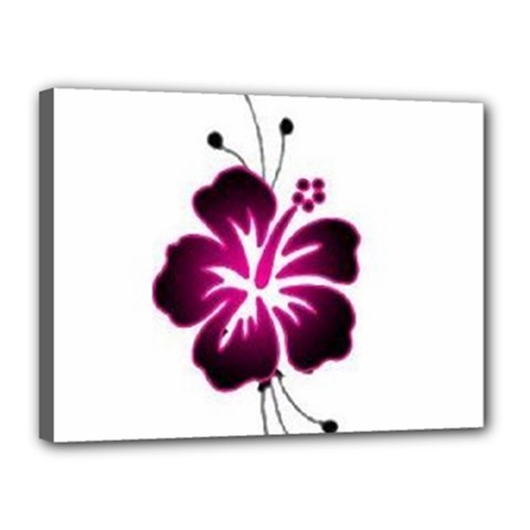 Pink Hawaiian Flower Canvas 16  x 12  (Stretched) from ArtsNow.com