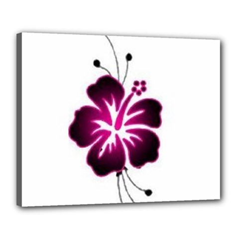 Pink Hawaiian Flower Canvas 20  x 16  (Stretched) from ArtsNow.com