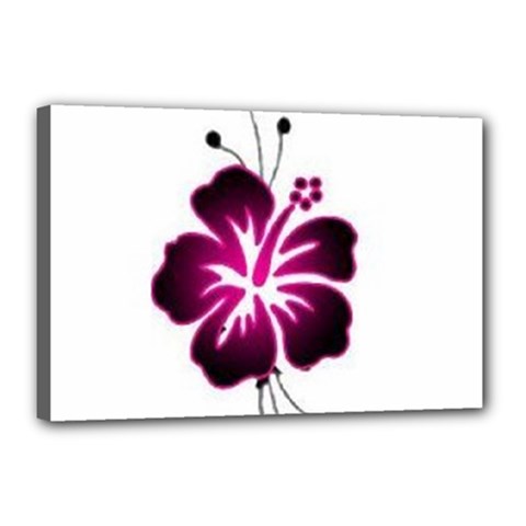 Pink Hawaiian Flower Canvas 18  x 12  (Stretched) from ArtsNow.com