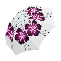 Folding Umbrella 