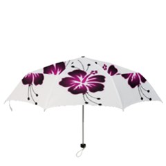 Folding Umbrella 