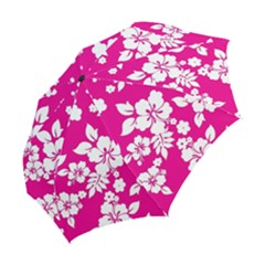 Folding Umbrella 