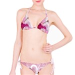 Design Art (design 19) Classic Bikini Set