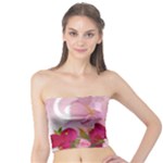 Design Art (design 19) Tube Top