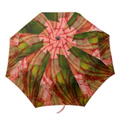 Folding Umbrella 