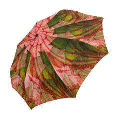 Folding Umbrella 