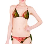 Design Art (design 14) Classic Bikini Set