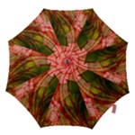 Design Art (design 14) Hook Handle Umbrella (Medium)