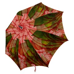 Hook Handle Umbrella (Medium) 