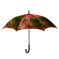 Hook Handle Umbrella (Medium) 