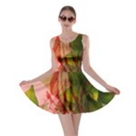 Design Art (design 14) Skater Dress