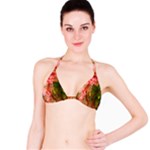 Design Art (design 14) Bikini Top