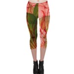 Design Art (design 14) Capri Leggings 