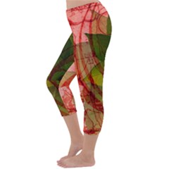 Capri Winter Leggings  Back