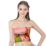 Design Art (design 14) Tube Top