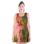 Design Art (design 14) Scoop Neck Skater Dress