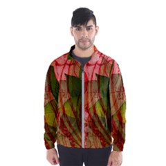 Men s Windbreaker 