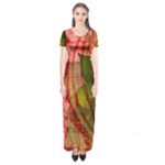 Design Art (design 14) Short Sleeve Maxi Dress