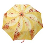 Design Art (design 6) Folding Umbrella