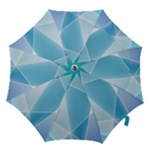 Blue Lights Hook Handle Umbrella (Medium)