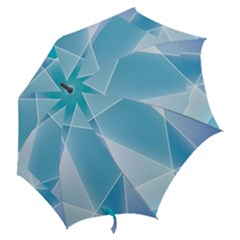 Hook Handle Umbrella (Medium) 