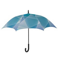 Hook Handle Umbrella (Medium) 