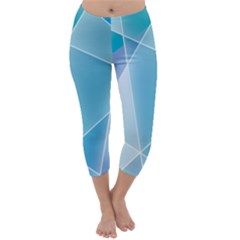 Capri Winter Leggings  Front