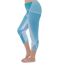 Capri Winter Leggings  Back