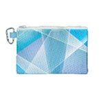 Blue Lights Canvas Cosmetic Bag (Medium)