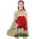 Red Rose Art Halter Neckline Chiffon Dress 