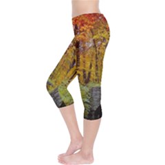 Capri Leggings  Left