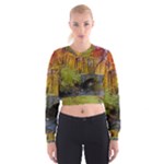 Stone Country Bridge Cropped Sweatshirt