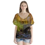 Stone Country Bridge V-Neck Flutter Sleeve Top