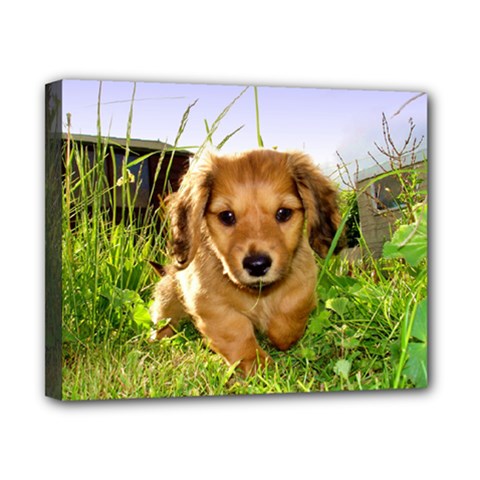 Puppy In Grass Canvas 10  x 8  (Stretched) from ArtsNow.com