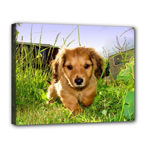 Puppy In Grass Canvas 14  x 11  (Stretched) from ArtsNow.com