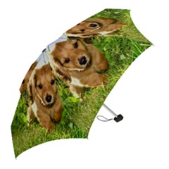 Mini Folding Umbrella 