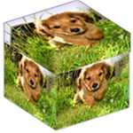 Puppy In Grass Storage Stool 12 