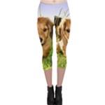 Puppy In Grass Capri Leggings 