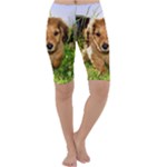 Puppy In Grass Cropped Leggings 